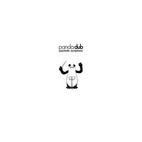 Nowy album Panda Dub – „Psychotic Symphony”